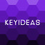Keyideas Infotech Private Limited logo